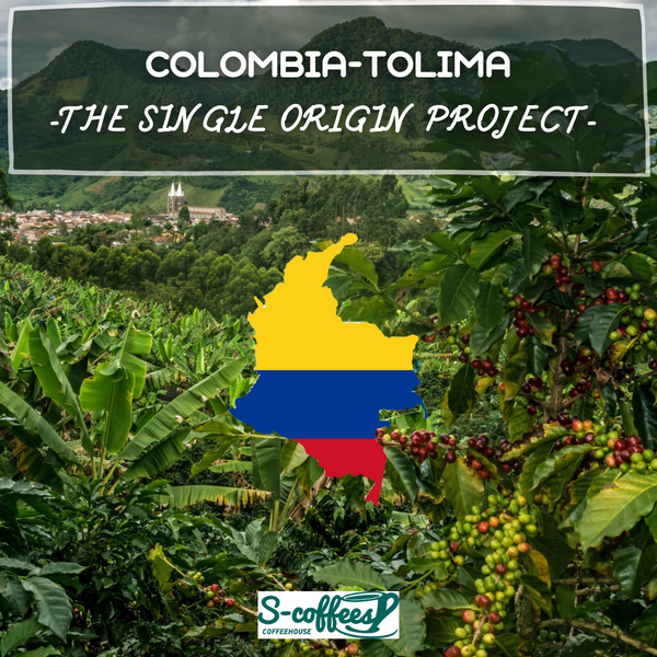 colombian single origin