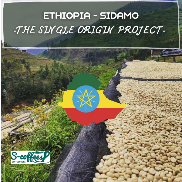 ethiopian sidamo - 250gr